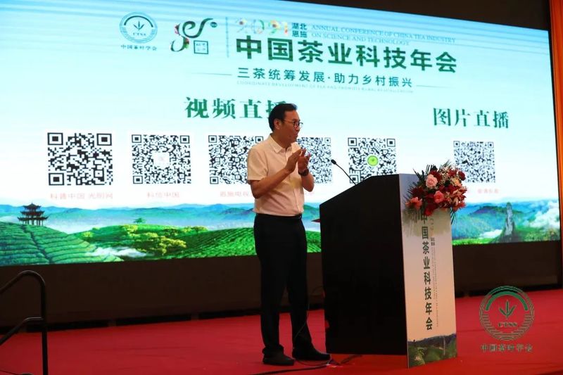 关于2021中国茶业科技年会，数字赋能茶产业发展——茶叶经济分会场精彩报告！的相关信息(5)
