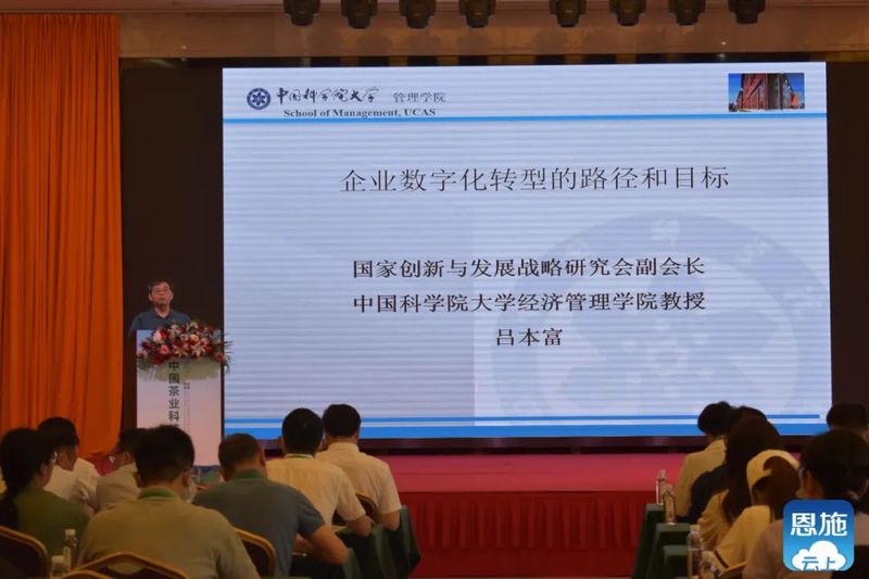 关于2021中国茶业科技年会，数字赋能茶产业发展——茶叶经济分会场精彩报告！的相关信息(6)
