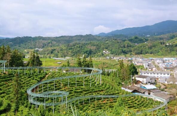 有关于腾冲蒲川：党建引领聚合力 茶旅融合促振兴的相关内容(3)