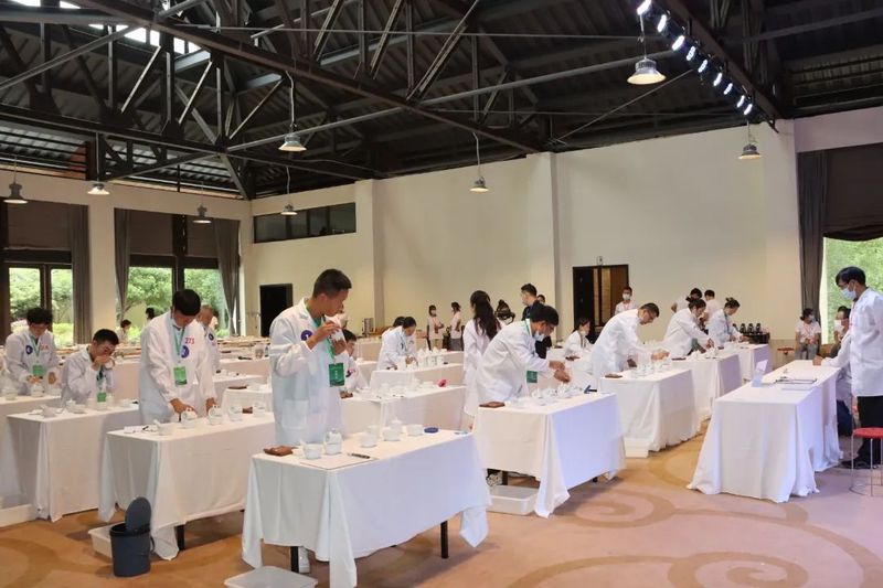 关于以茶会友 与茶同行的最新消息(8)