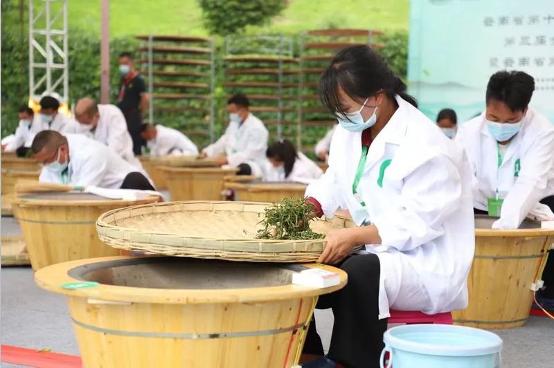 关于以茶会友 与茶同行的最新消息(6)