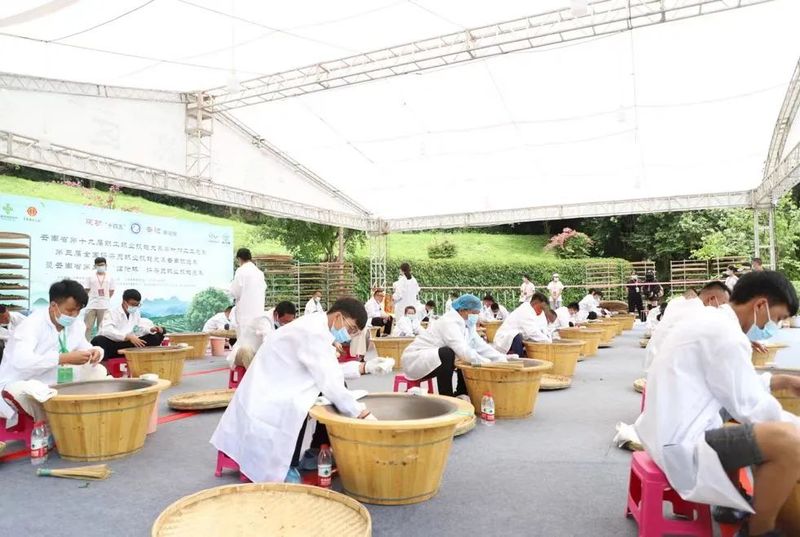 关于以茶会友 与茶同行的最新消息