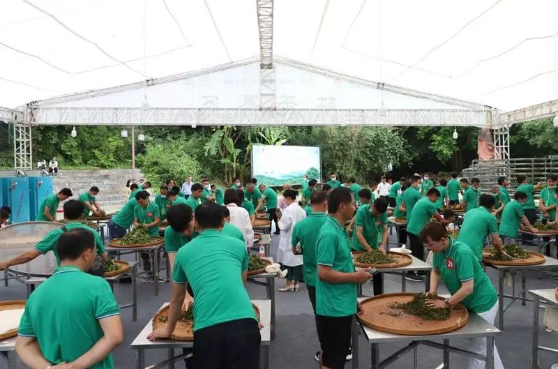 关于以茶会友 与茶同行的最新消息(9)