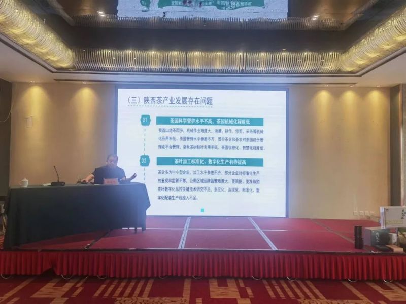 有关于西乡县农经站组织农民专业合作社示范社积极参加全省茶产业专题培训会的信息
