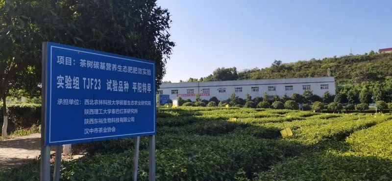 有关于西乡县农经站组织农民专业合作社示范社积极参加全省茶产业专题培训会的信息(3)