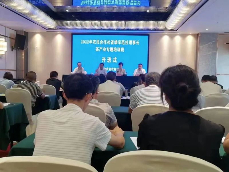有关于西乡县农经站组织农民专业合作社示范社积极参加全省茶产业专题培训会的信息(2)