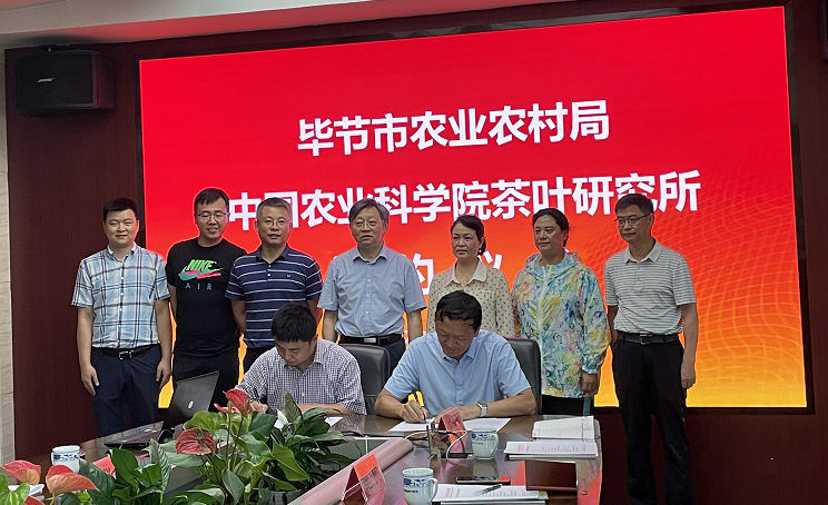 关于毕节市与中国农业科学院茶叶研究所签订推进毕节市茶产业高质量发展战略协议的相关信息