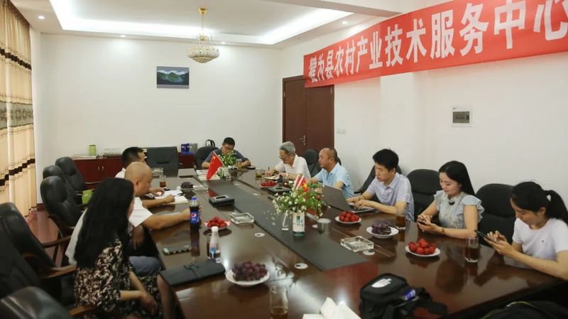 关于以茉莉花茶品牌建设助力乡村振兴(二)著名策划人王博携手犍为茉莉花茶的新闻(33)