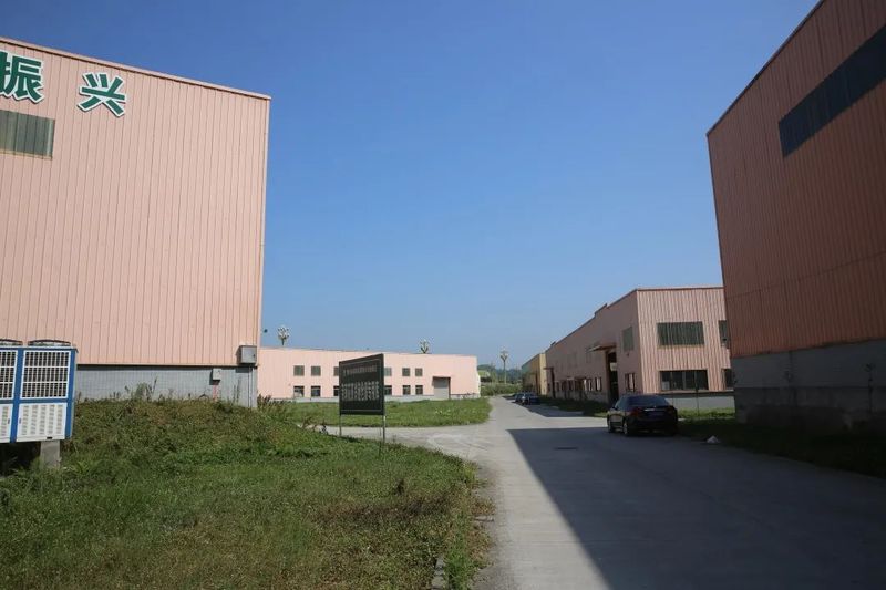 关于以茉莉花茶品牌建设助力乡村振兴(二)著名策划人王博携手犍为茉莉花茶的新闻(8)