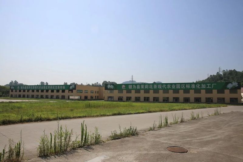 关于以茉莉花茶品牌建设助力乡村振兴(二)著名策划人王博携手犍为茉莉花茶的新闻(9)
