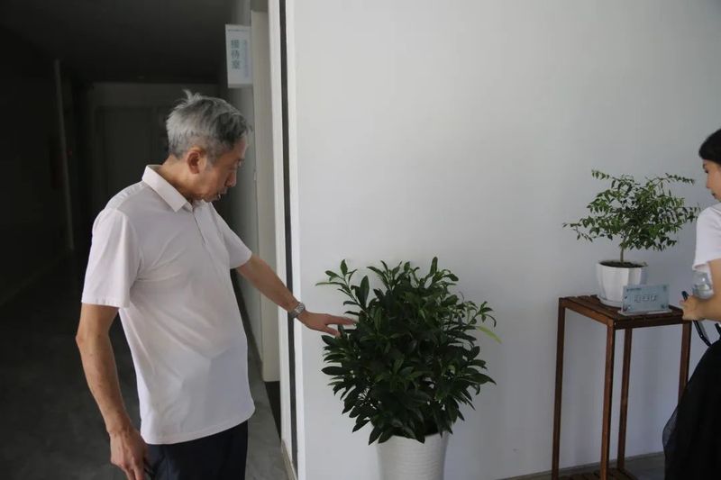 关于以茉莉花茶品牌建设助力乡村振兴(二)著名策划人王博携手犍为茉莉花茶的新闻(14)