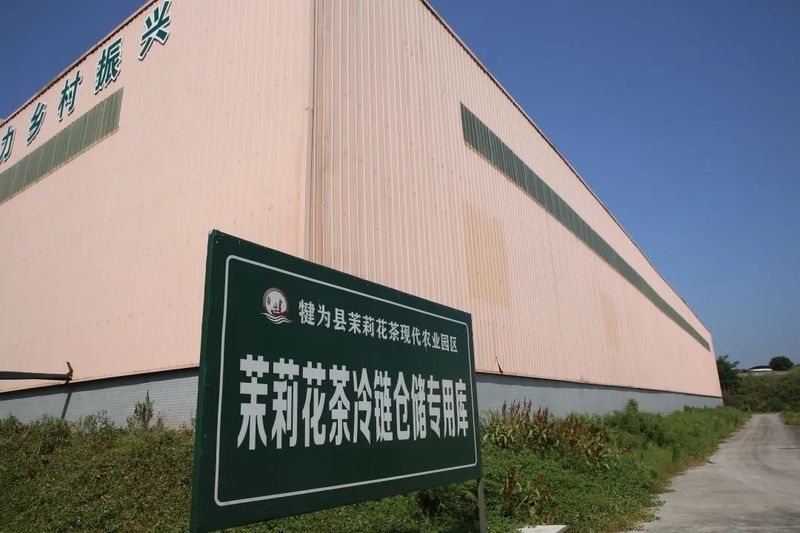 关于以茉莉花茶品牌建设助力乡村振兴(二)著名策划人王博携手犍为茉莉花茶的新闻(10)