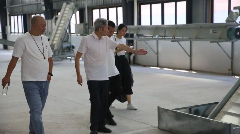 关于以茉莉花茶品牌建设助力乡村振兴(二)著名策划人王博携手犍为茉莉花茶的新闻(5)