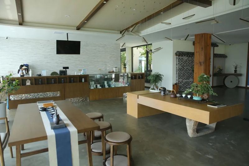 关于以茉莉花茶品牌建设助力乡村振兴(二)著名策划人王博携手犍为茉莉花茶的新闻(23)