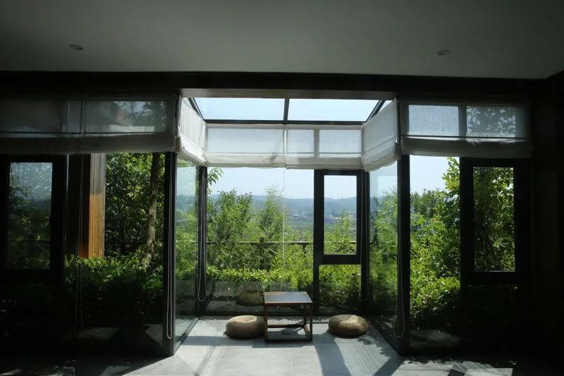 关于以茉莉花茶品牌建设助力乡村振兴(二)著名策划人王博携手犍为茉莉花茶的新闻(21)