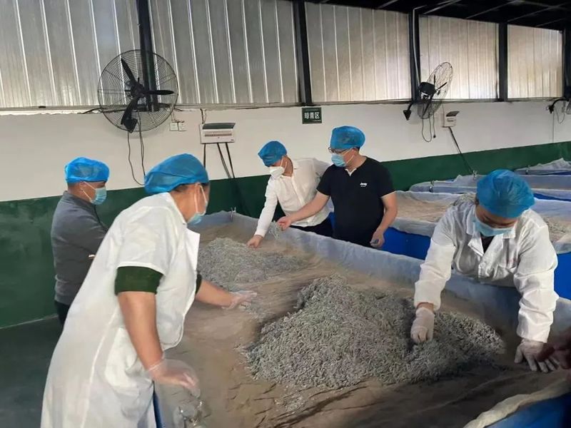 关于张家界:发挥人才智力优势 助力莓茶产业发展的最新消息(1)