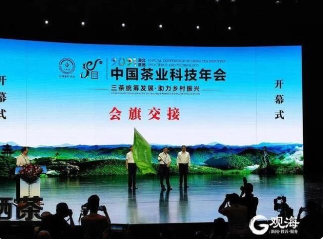有关于青岛这个区获得“2023中国茶业科技年会”举办权的资讯