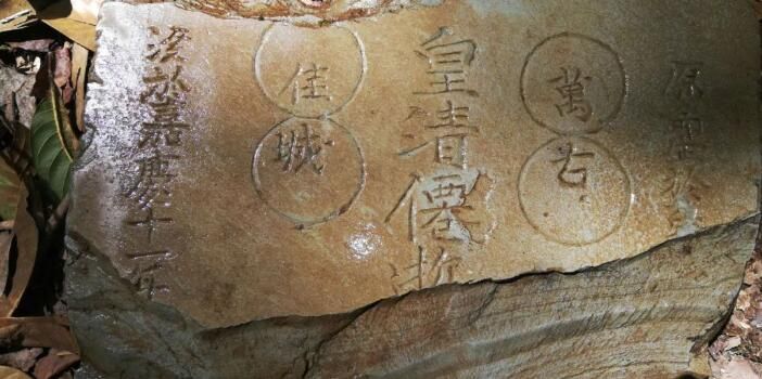 关于古茶园内孕新生——交密村翁夕古茶的振兴之路的最新消息(3)