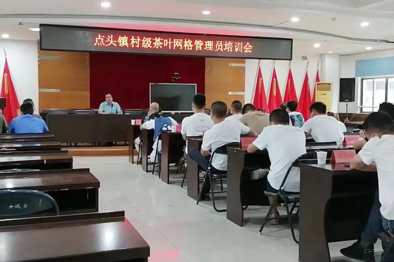 有关于抓管控促发展,为白茶质量安全“保驾护航”的内容(2)