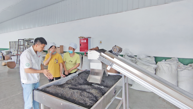 关于优势大品种之茶叶系列报道三:加快单品突破,让茶叶子变“金叶子”的内容(1)