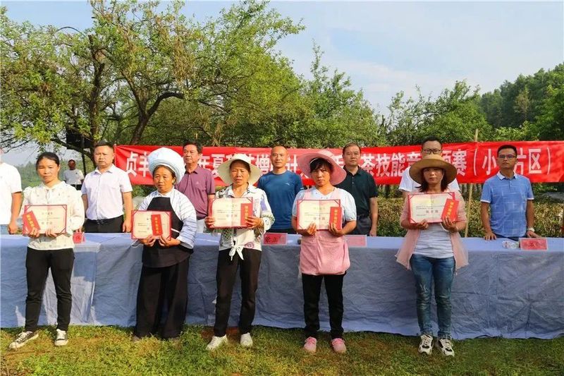 有关于贞丰县2022年夏秋增收计划双手采茶技能竞赛预赛开赛的资讯(10)