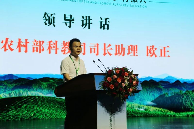 有关于三茶统筹发展·助力乡村振兴——2021中国茶业科技年会在湖北恩施开幕的相关信息(4)