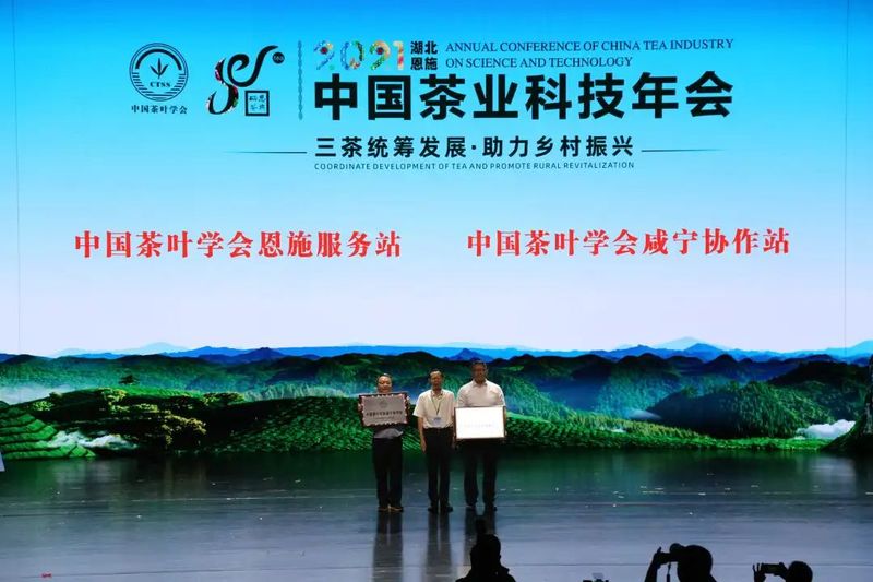 有关于三茶统筹发展·助力乡村振兴——2021中国茶业科技年会在湖北恩施开幕的相关信息(9)