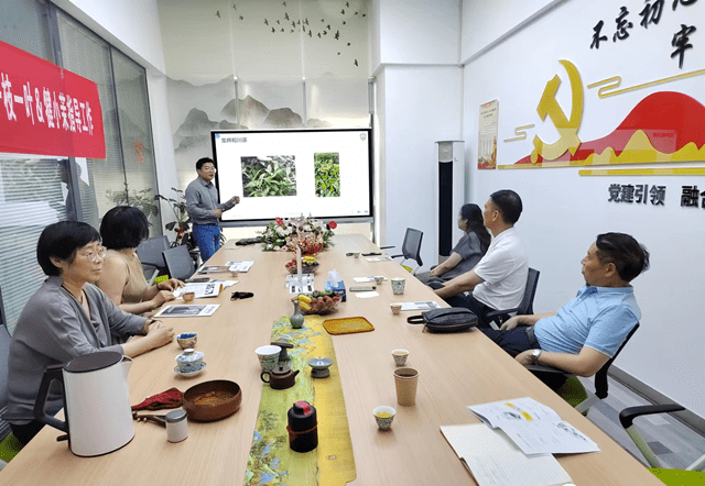 有关于与时俱进 解决痛点 智能采茶机器人问世的内容(2)