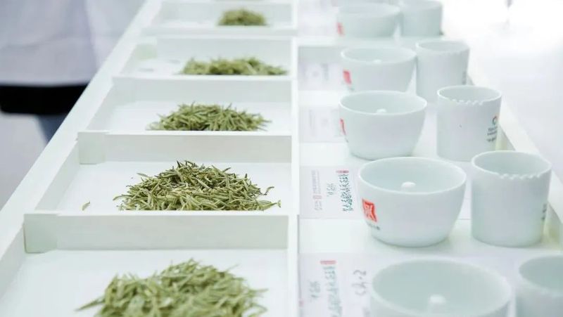 有关于“中茶杯”鼎承茶王赛获奖名单公布,18只贵州茶荣耀上榜的相关内容(3)