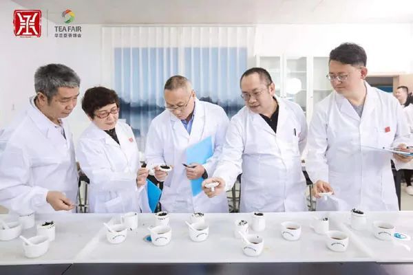 有关于“中茶杯”鼎承茶王赛获奖名单公布,18只贵州茶荣耀上榜的相关内容