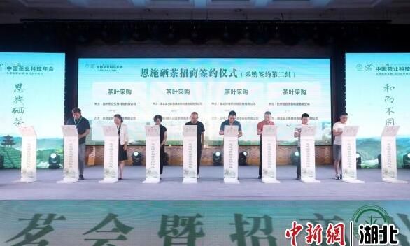 有关于2021中国茶业科技年会在恩施开幕的相关内容(1)