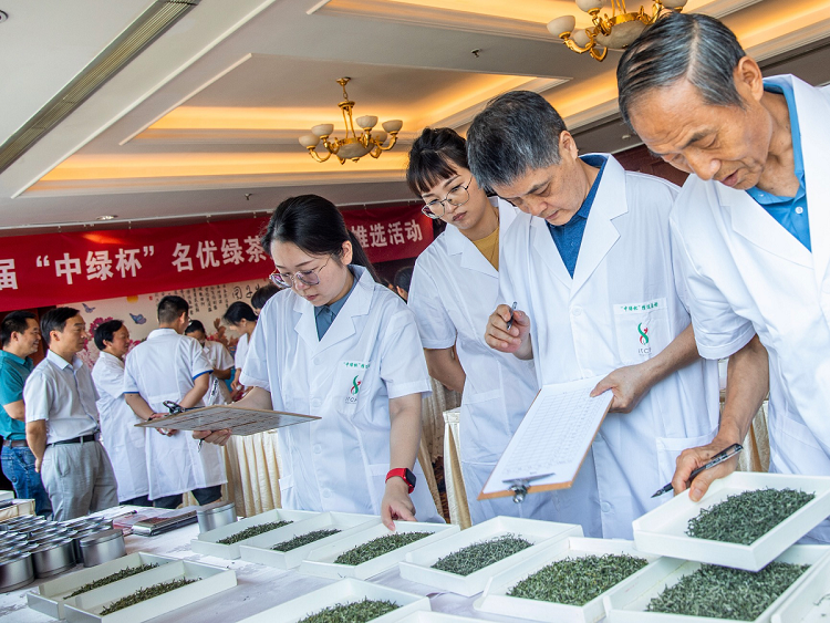 有关于第十一届“中绿杯”名优绿茶产品质量推选活动拉开帷幕!的内容