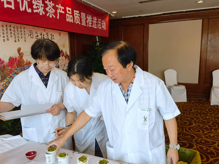 有关于第十一届“中绿杯”名优绿茶产品质量推选活动拉开帷幕!的内容(3)