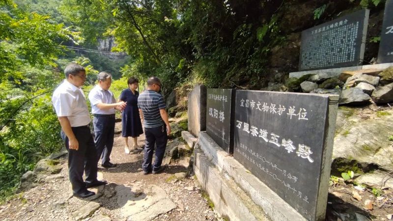 有关于宜昌市政协副主席杨宁带队赴五峰考察茶产业发展的消息(1)