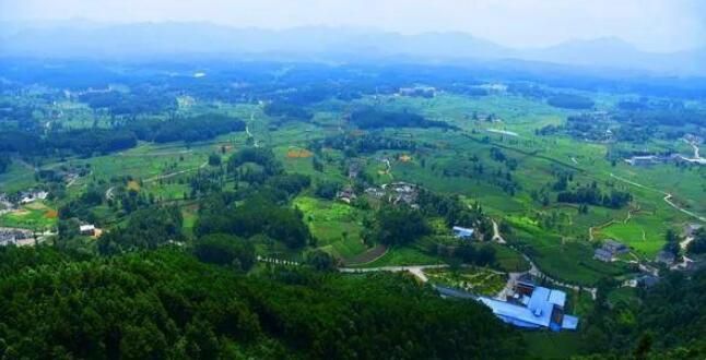 关于饱饮山川日月 独到黔茶风味——贵州茶产业发展侧记的相关信息(3)