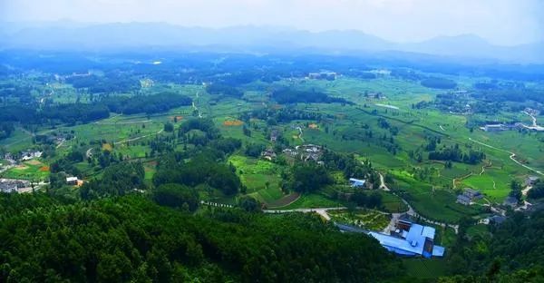 关于饱饮山川日月 独到黔茶风味——贵州茶产业发展侧记的资讯(4)
