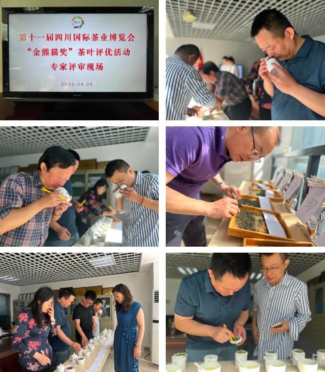 有关于第十一届四川茶博会“金熊猫奖”茶叶评选榜单出炉的信息