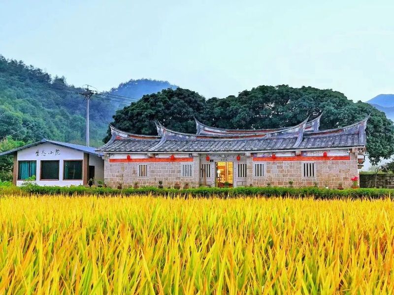 有关于巾帼“科特派”助力安溪茶产业振兴的内容(3)