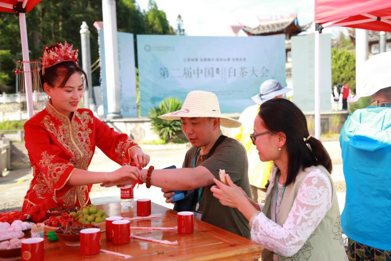有关于践行“三茶”理念 做强政和白茶： 产销对接面对面 茶业发展添动力的信息(2)