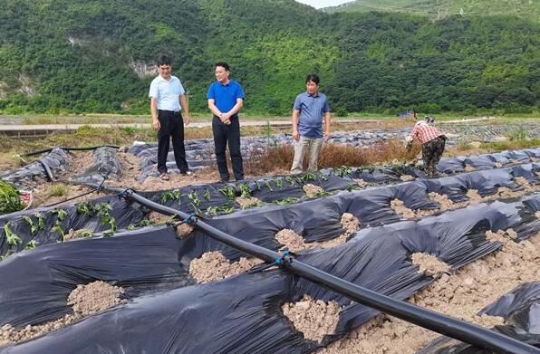 关于双牌：唐建明调研特色农业和茶产业发展的资讯