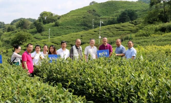 关于贵州省茶种质创新工程技术研究中心专家委员会在贵阳成立的内容