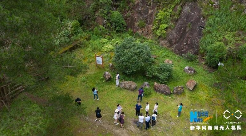 关于福建政和：生态茶园 “WiFi”满山的相关信息(5)