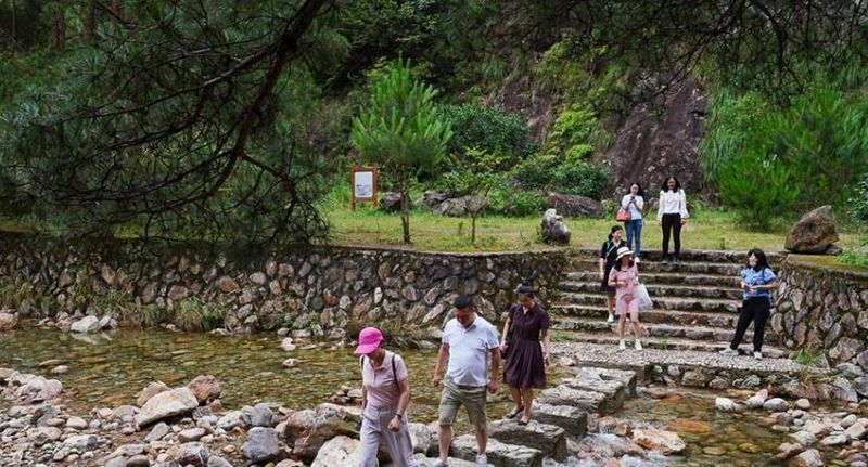 关于福建政和：生态茶园 “WiFi”满山的相关信息(8)