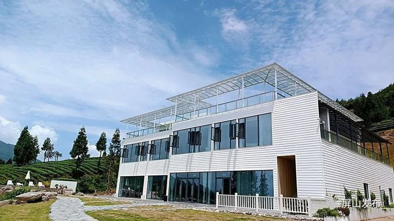 关于锦屏镇：三产融合做实茶产业发展文章的消息(5)
