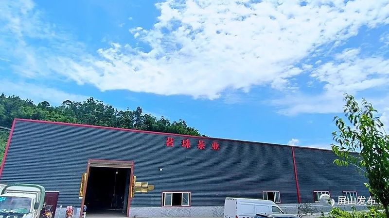 关于锦屏镇：三产融合做实茶产业发展文章的消息(2)