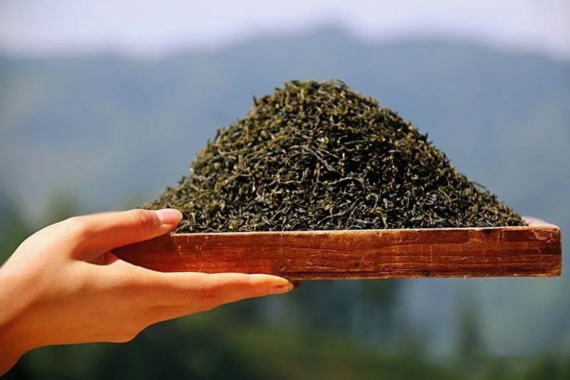 关于锦屏镇：三产融合做实茶产业发展文章的消息(3)