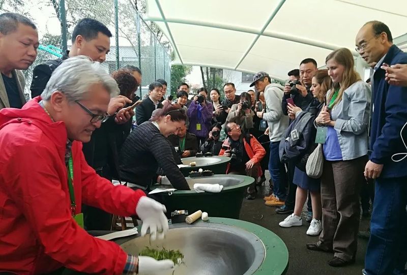 有关于嵊州——龙井茶第一县、茶叶出口第一县的资讯