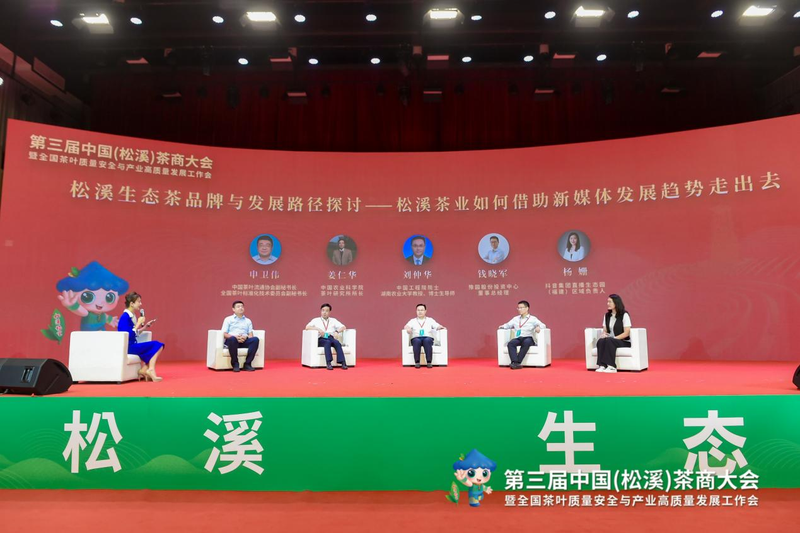 有关于福建又一县在中国白茶中占有重要地位！的相关内容(12)