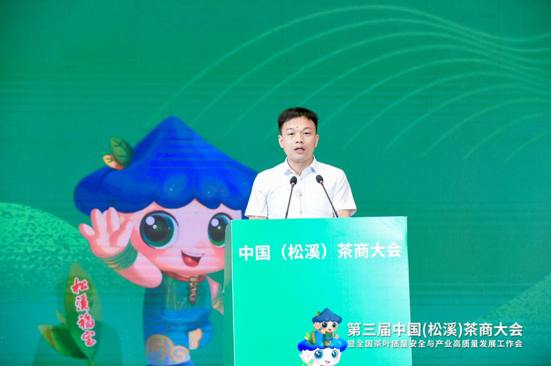 有关于福建又一县在中国白茶中占有重要地位！的相关内容(6)
