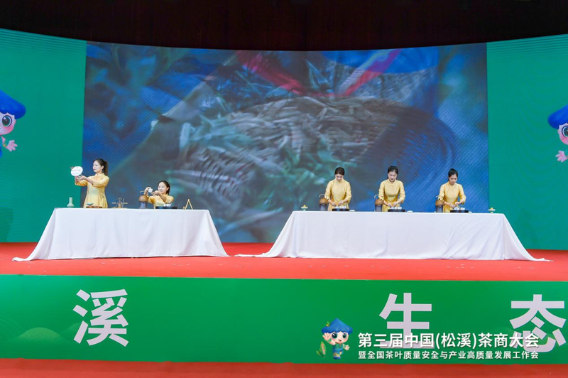 有关于福建又一县在中国白茶中占有重要地位！的相关内容(9)